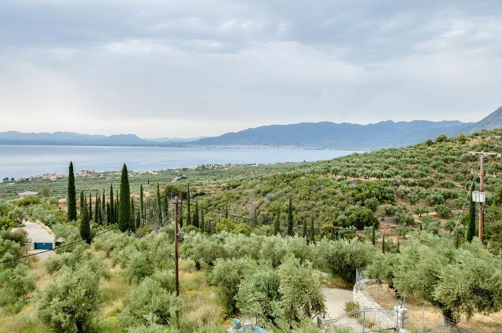 Ellinas Homes Megali Mantineia