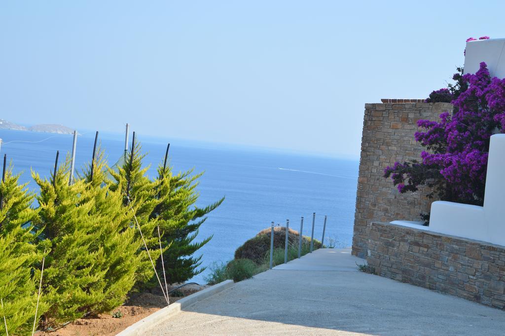 Andros Private Villa Overlooking The Blue Aegean Sea