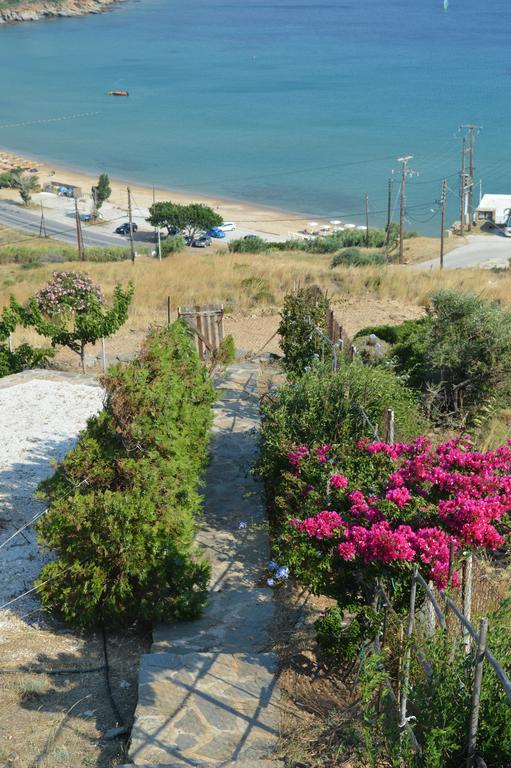 Andros Private Villa Overlooking The Blue Aegean Sea *