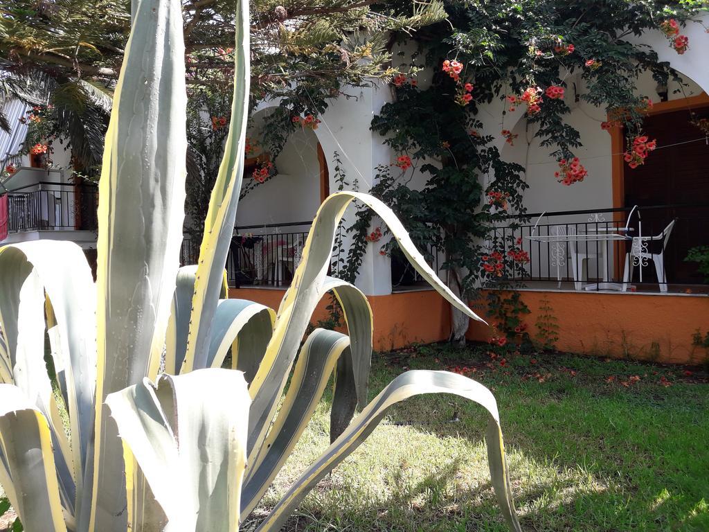 Dimitris Apartment Punta