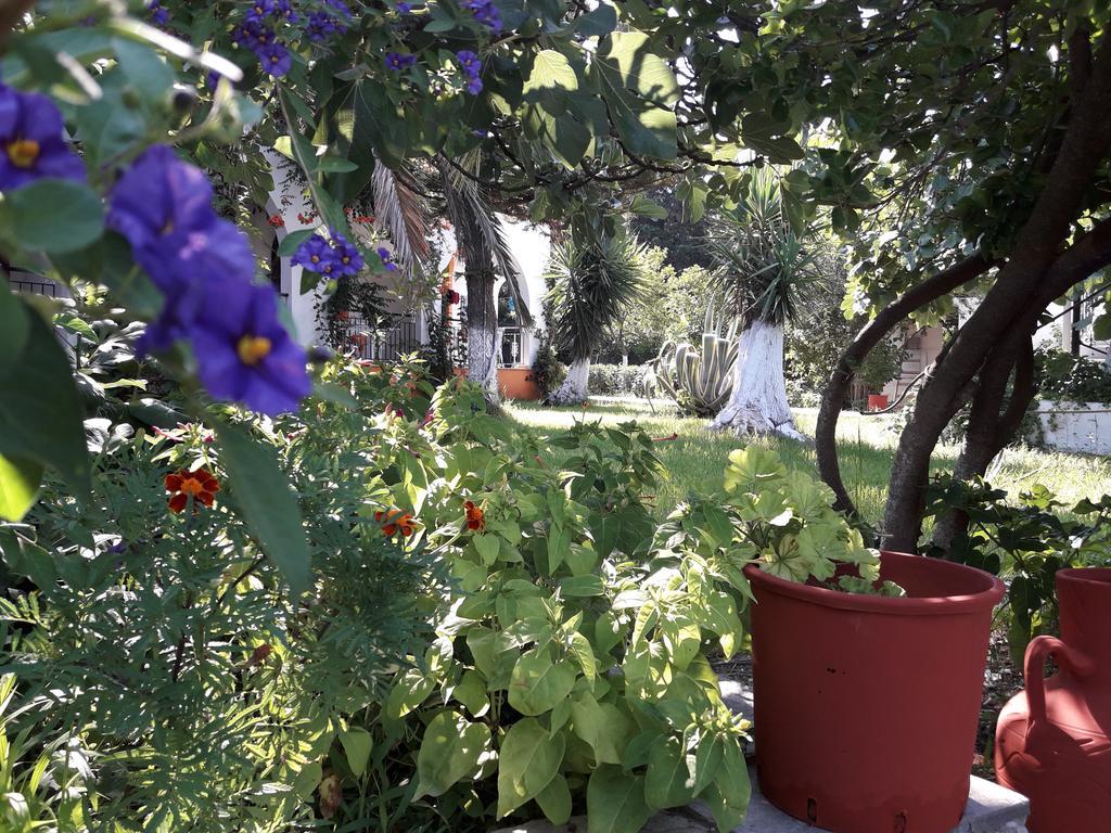 Dimitris Apartment Punta