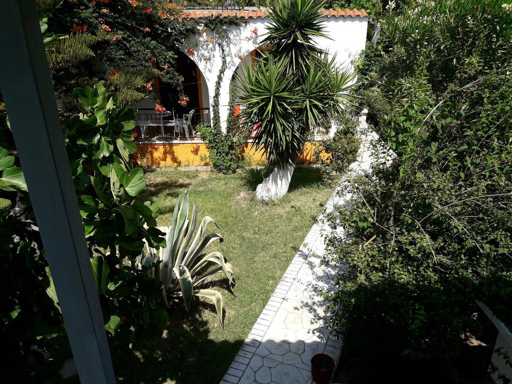 Apartment Dimitris Punta