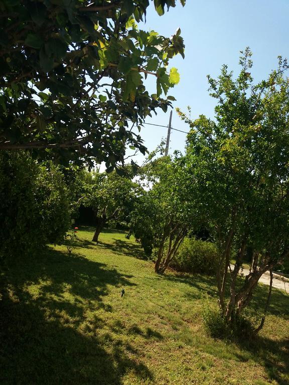 Anastasia Country Rafina (Attica)