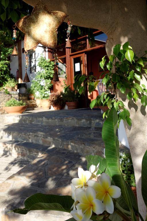 Aparthotel Cretan Village 4*