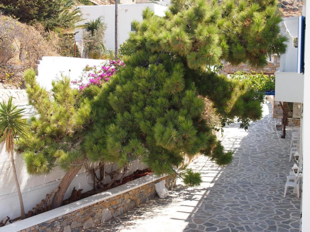 Homer's Hotel Chora (Ios)