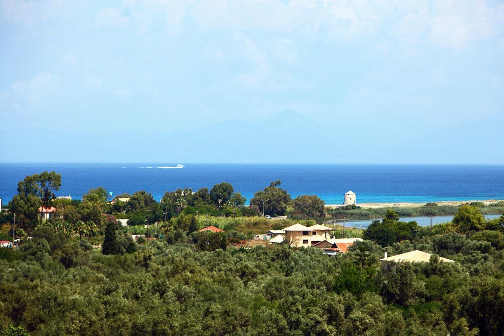 Apartment Pine House With Sea View