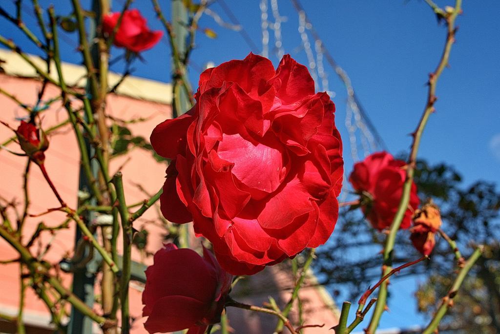 Kardami -country House Holiday home *
