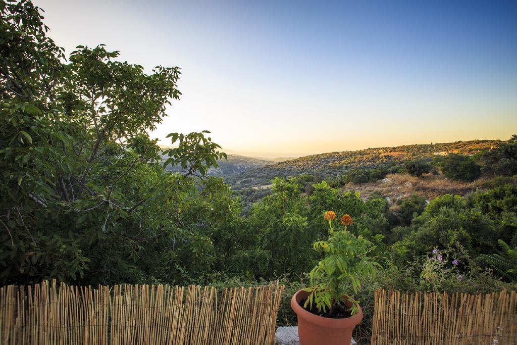 Guest house Thomas View