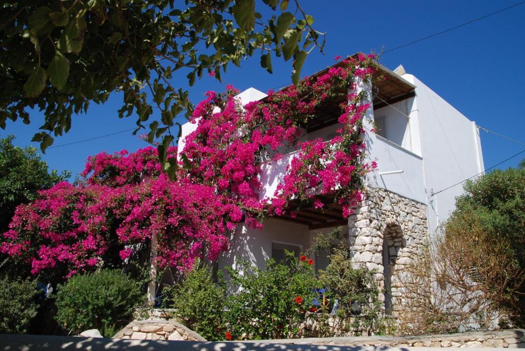 Kelly's Apartment Chrisi Akti (Paros)
