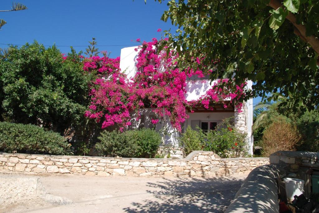 Kelly's Chrisi Akti (Paros)