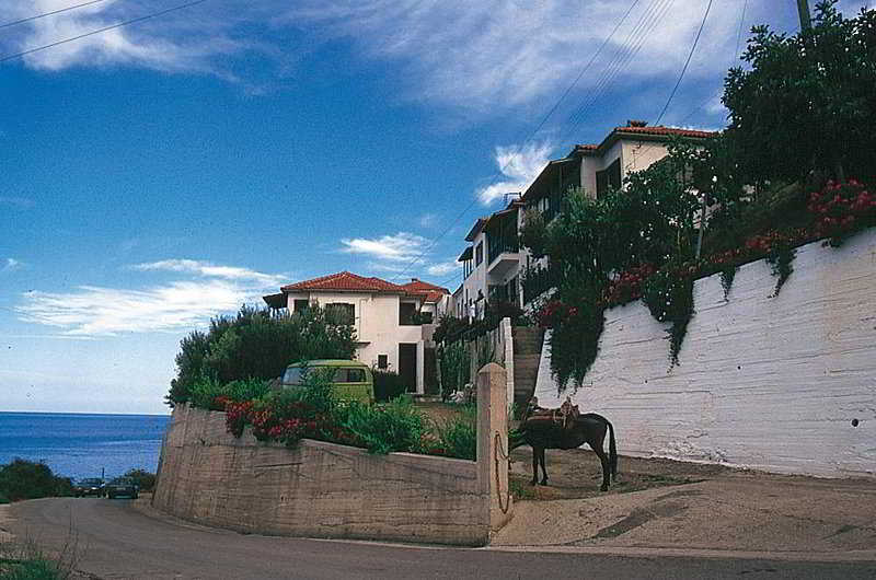 Panorama And Apartment *