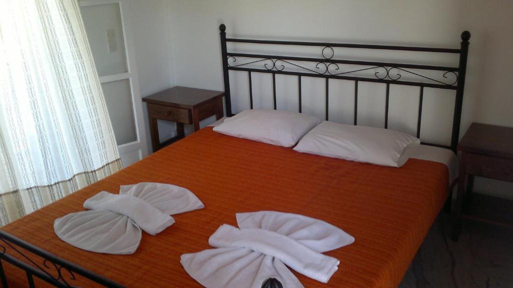 Bizas & Guest house