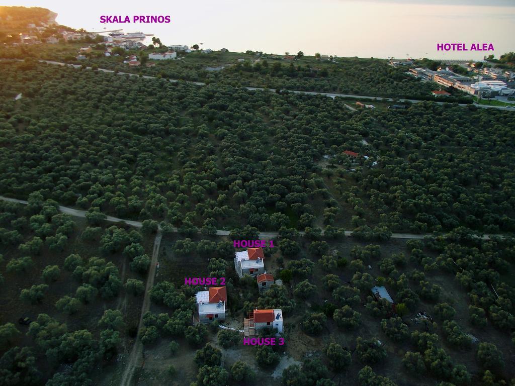 Elea Stone In Organic Quiet Olive Grove, Prinos, Thassos Villa *