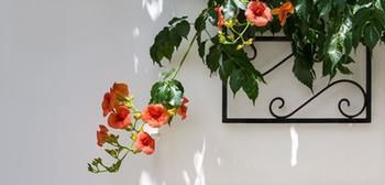 Byzantio Beach & Wellness 2* Agios Sostis (Tinos)