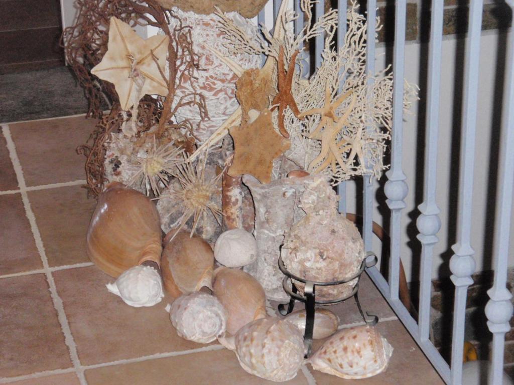 Hotel Mylos 3*