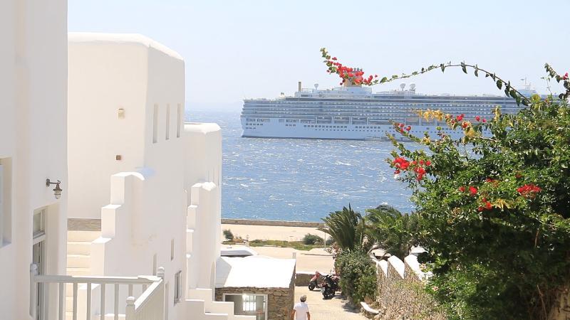 Hotel Apanema 4*