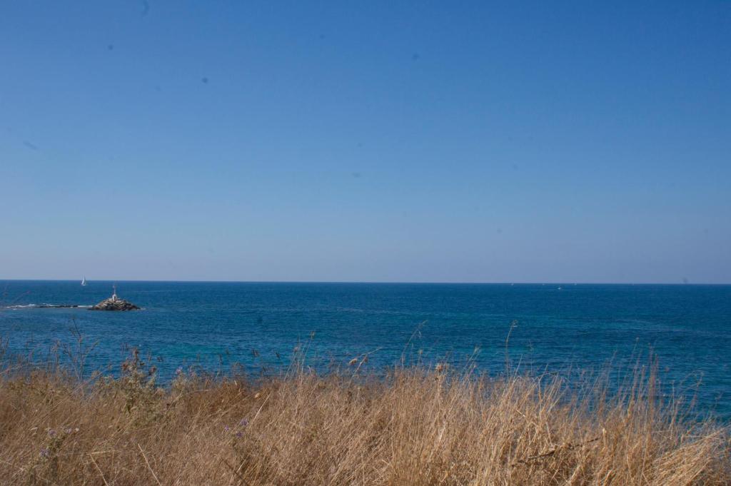 Dionisos Hotel 2*