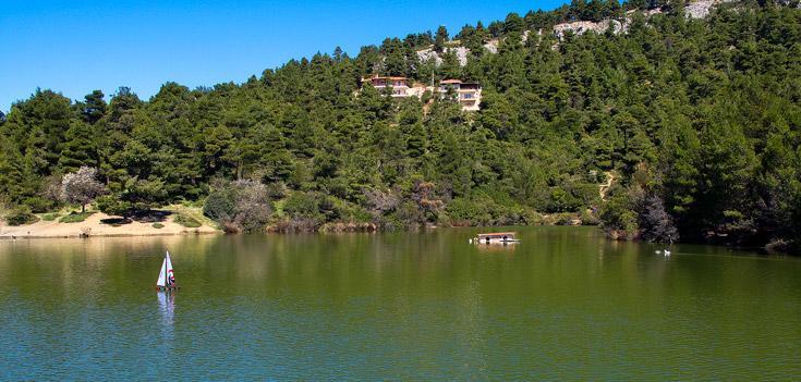 Cavallari Palace 2* Acharnes