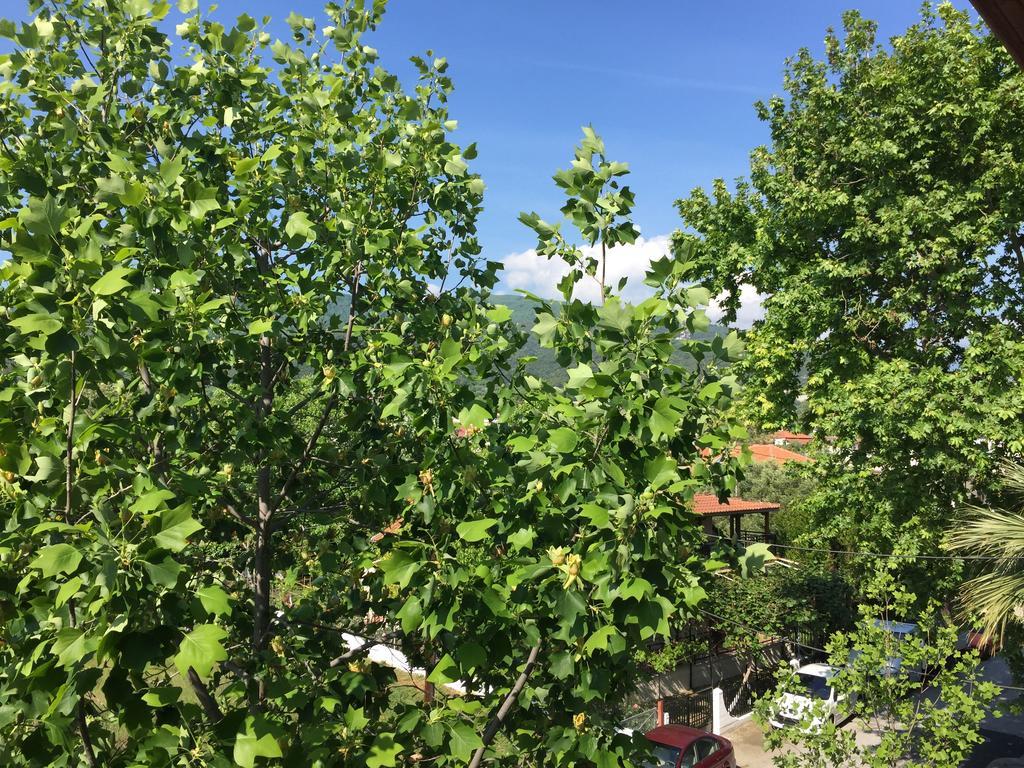 Vaya & Platamonas
