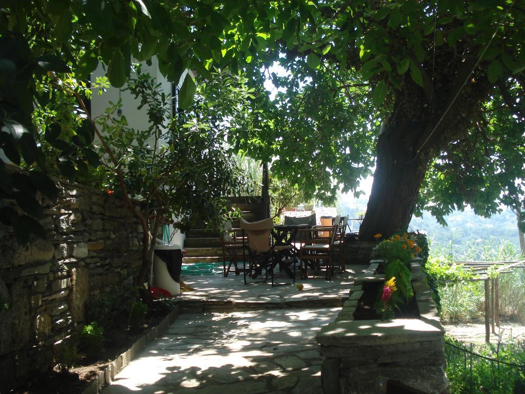 Mansion & Home Margaritis