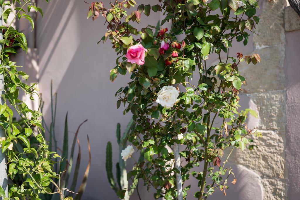 Holiday home Casa Ermioni Stone House *
