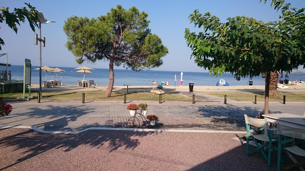 Apartment Traditional Arsanas Nikiti (Sithonia)