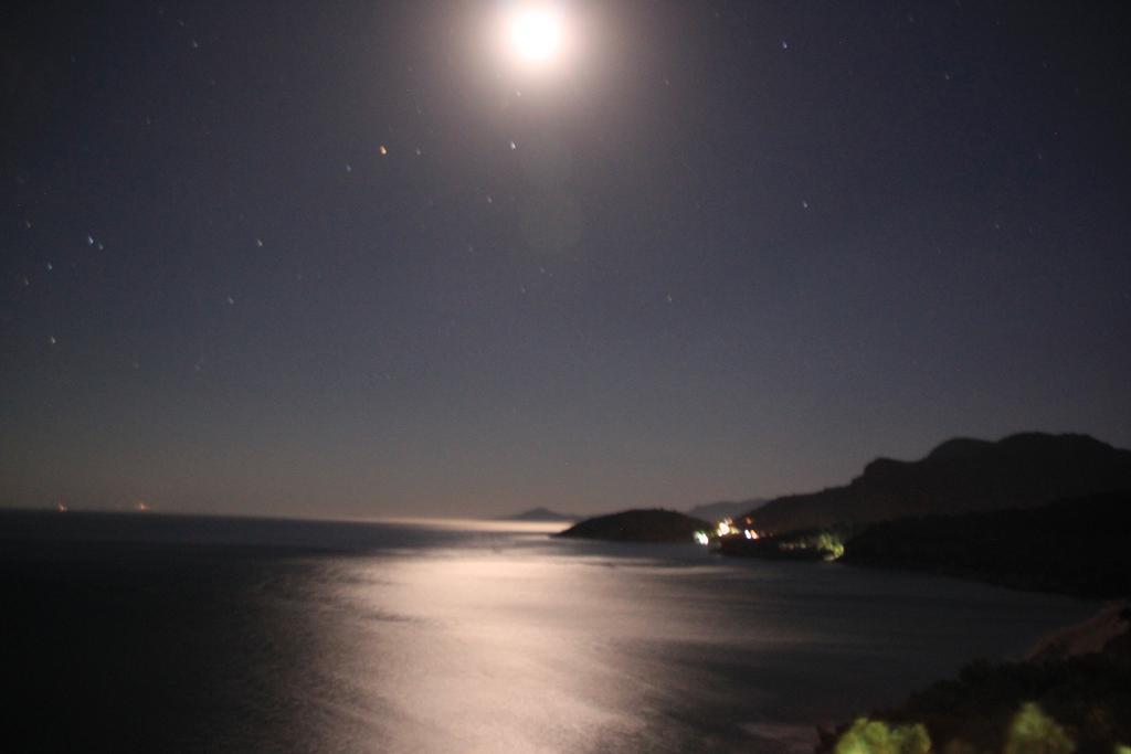 Blue Horizon *