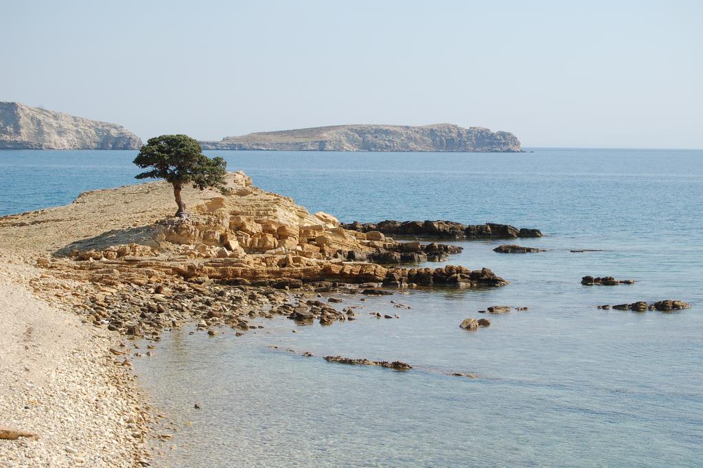 Calypso Lipsi