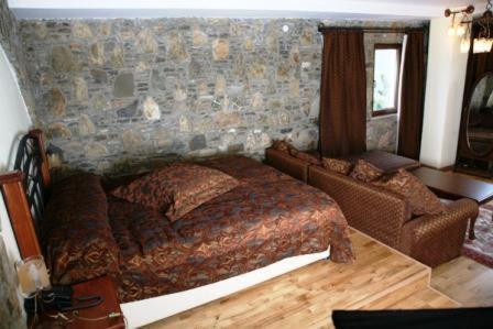 Hotel Vasilitsa 4*