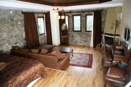 Hotel Vasilitsa Grevena