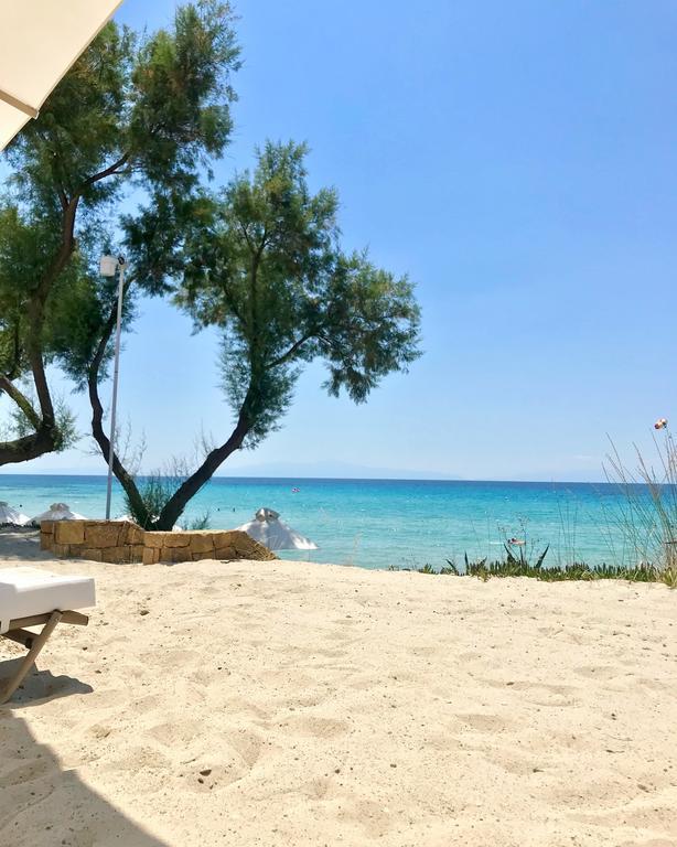 Diomedes Villa Sani (Chalkidiki)