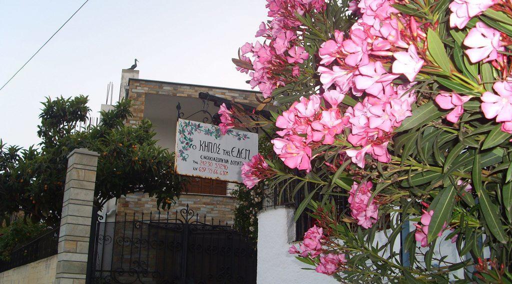 Garden Of Edem Afissos