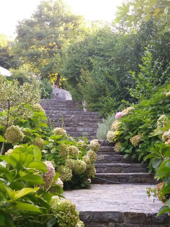 Aroma Piliou - άρωμα πηλίου Guest house Mouresi