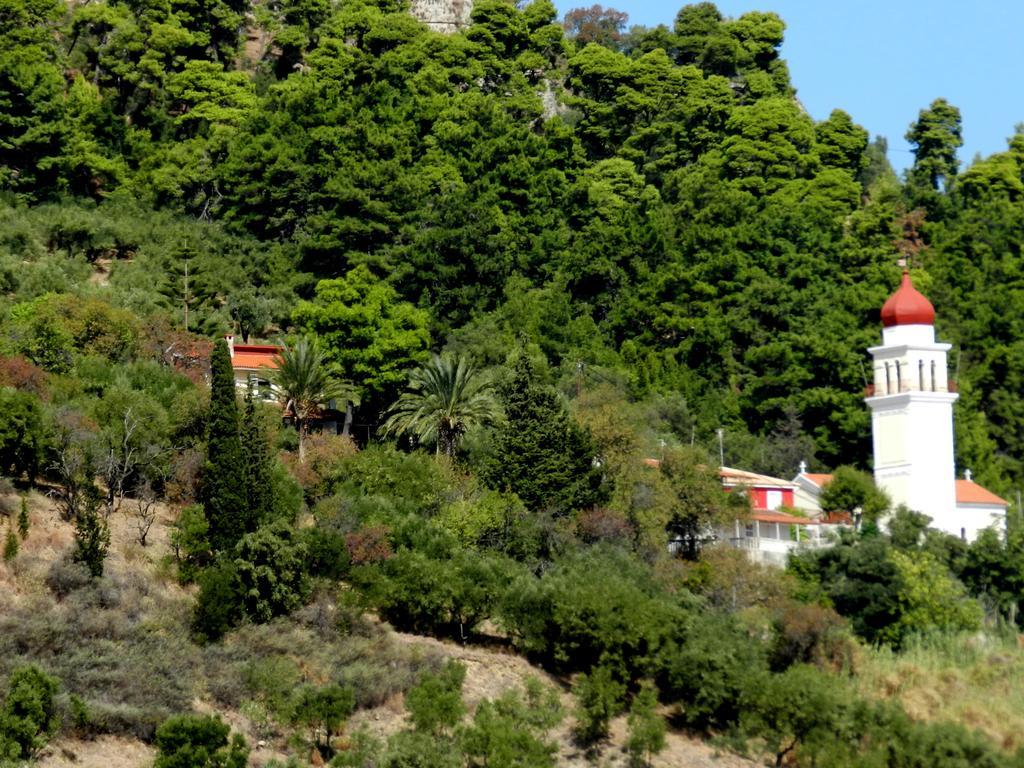Port View Zakynthos Town