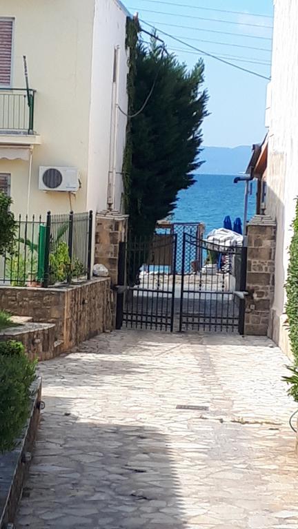 Avia Beachfront Villa *