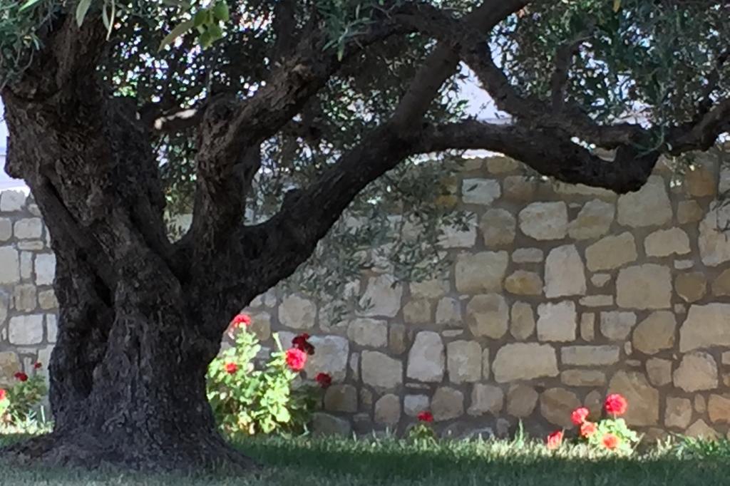 Marmelada Villa *