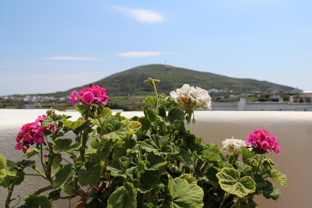Axahas Apartment *