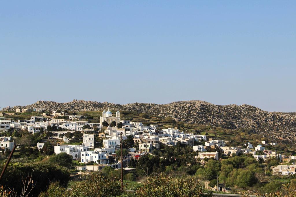 Axahas