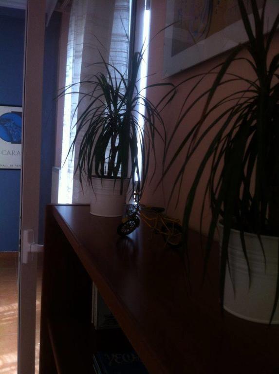 Belle Maison Apartment