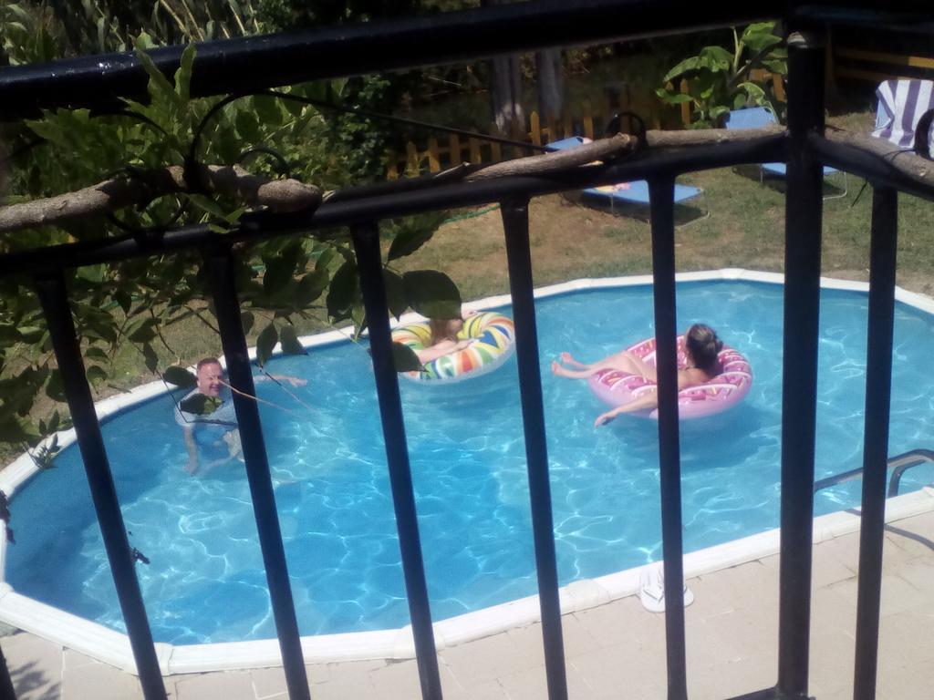 Georgina Family Mesongi
