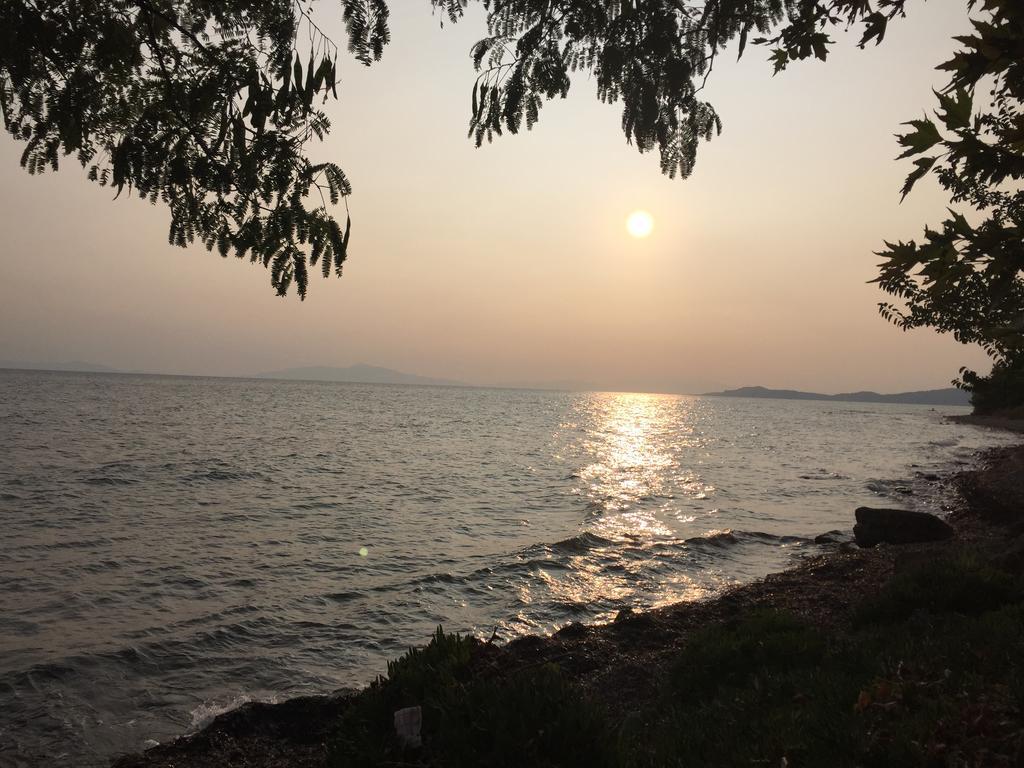 Yut Holiday * Nea Skioni