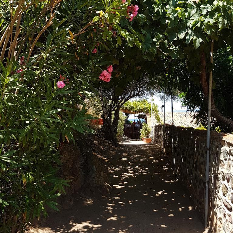 Villa Molivos Views Mithymna