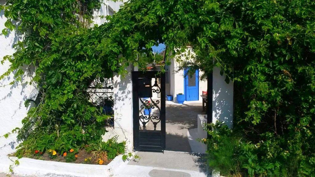 Apartment Kostas - ενοικιαζόμενα με κουζινάκι *