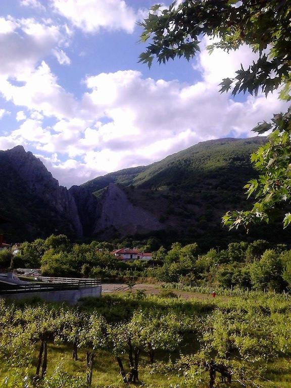 Guest house Athanasiou