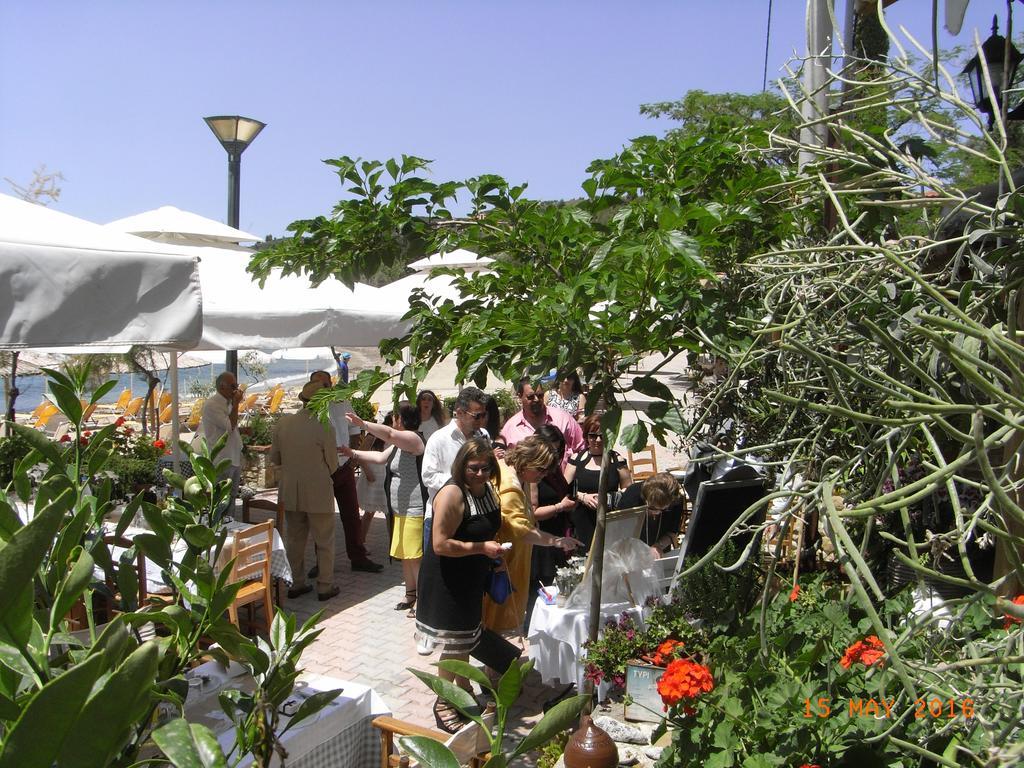 Apartment Tarsanas Luxury Paliouri
