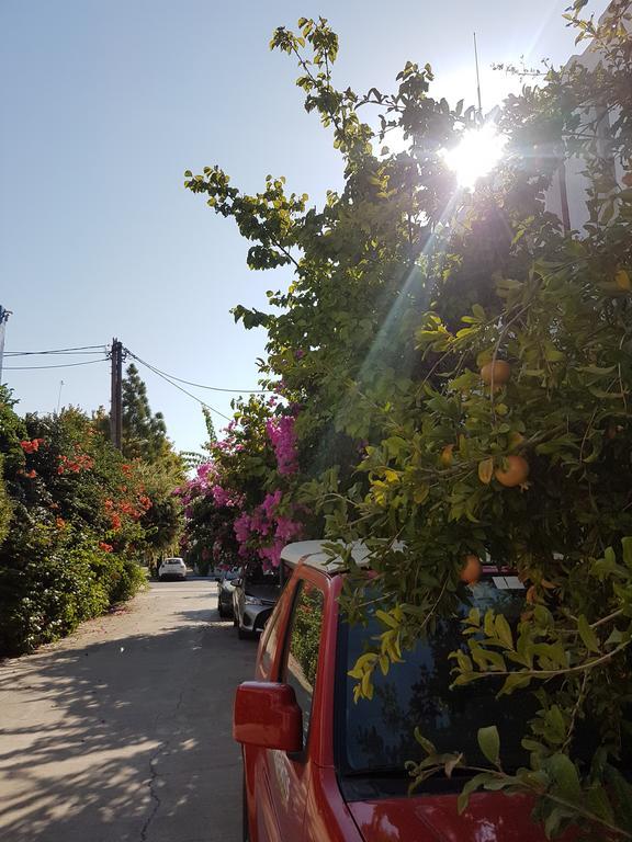 Apartment Thalassa Faliraki