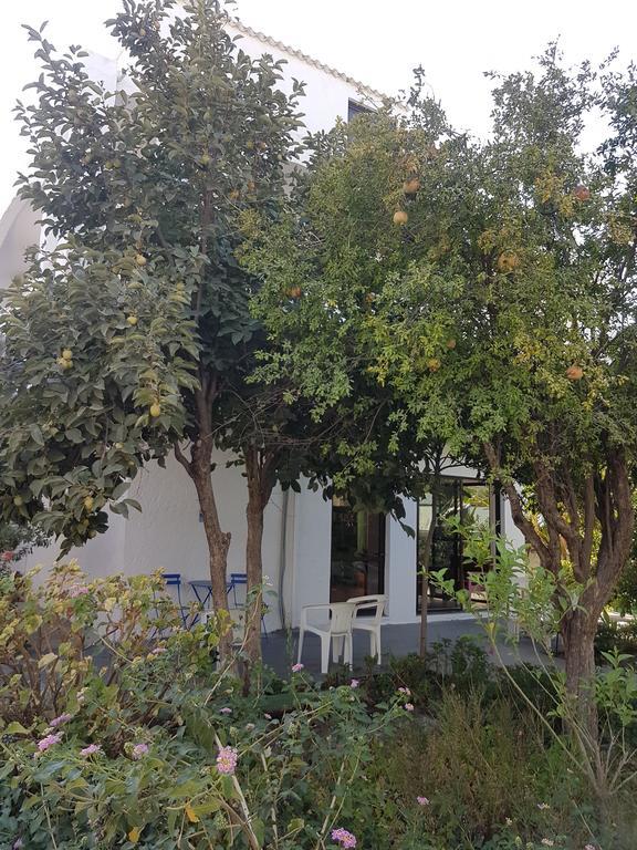 Apartment Thalassa