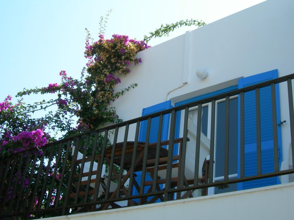 Bizas & 3* Parikia (Paros)