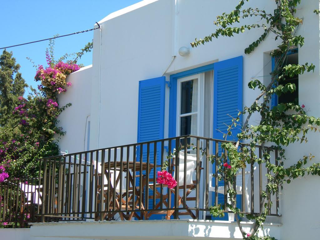 Bizas & Guest house