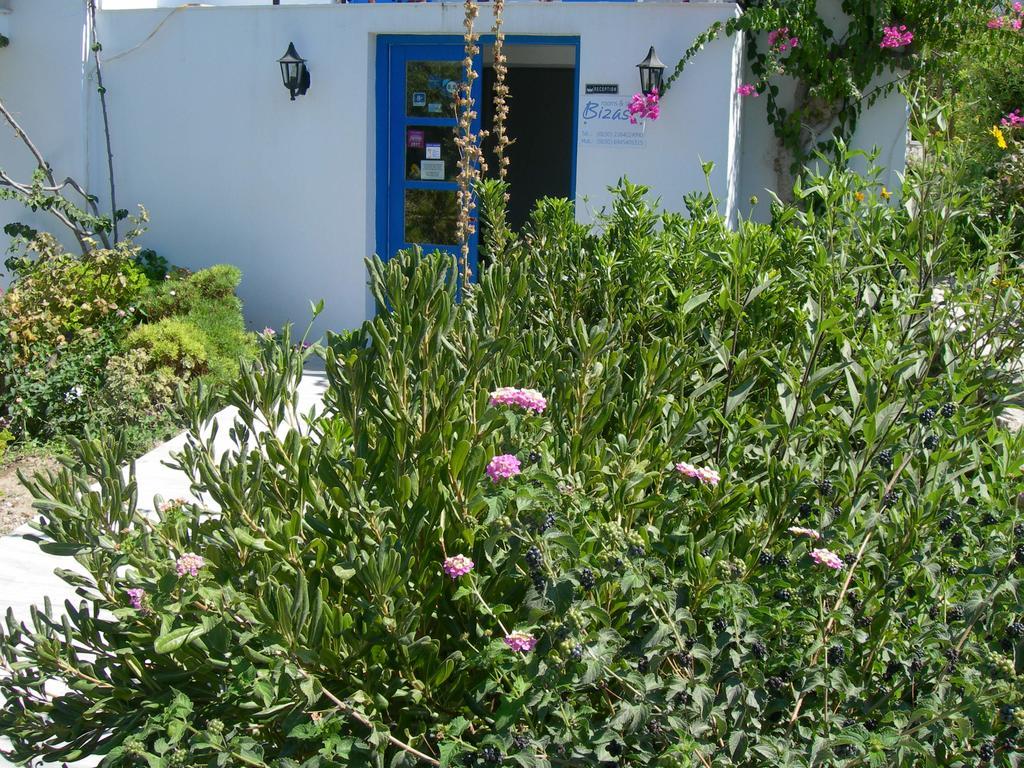 Bizas & Guest house